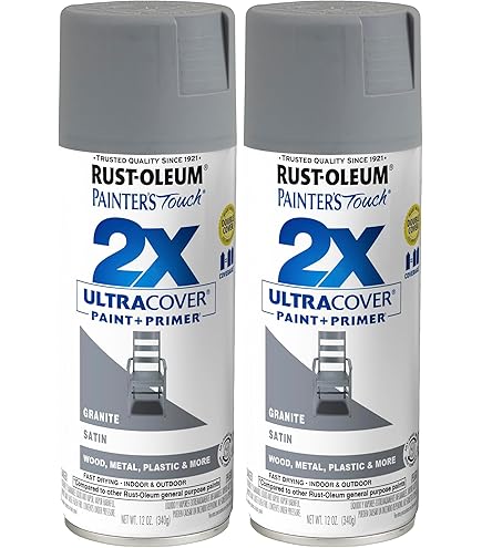 Rust-Oleum 249088 Painter's Touch Multi Purpose Spray Paint, 12